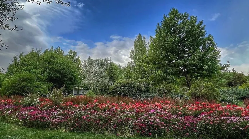 عکس پوشش گیاهی پارک بانوان نرگس تهران