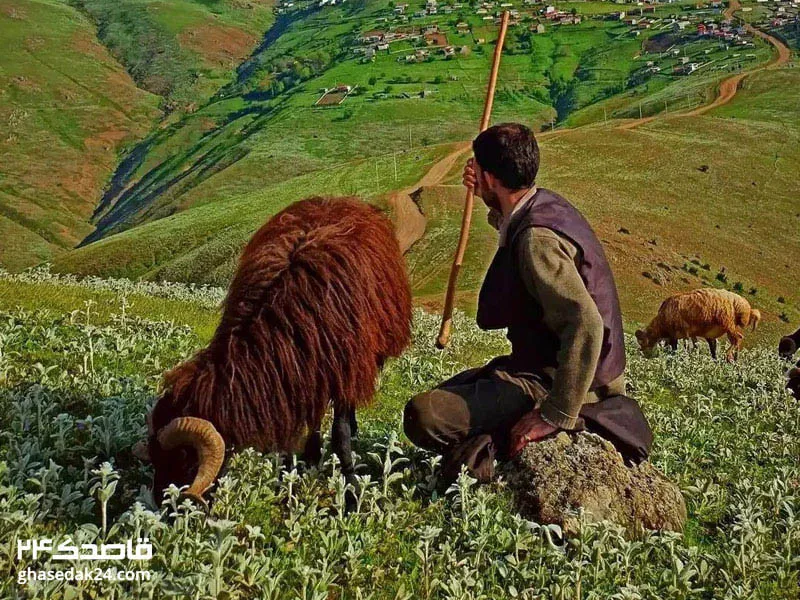 عکاسی در روستای ییلاقی جواهر‌دشت
