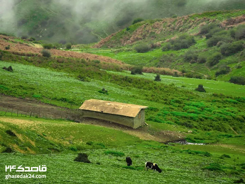 بهترین زمان سفر به جواهر‌دشت از نظر آب و هوا
