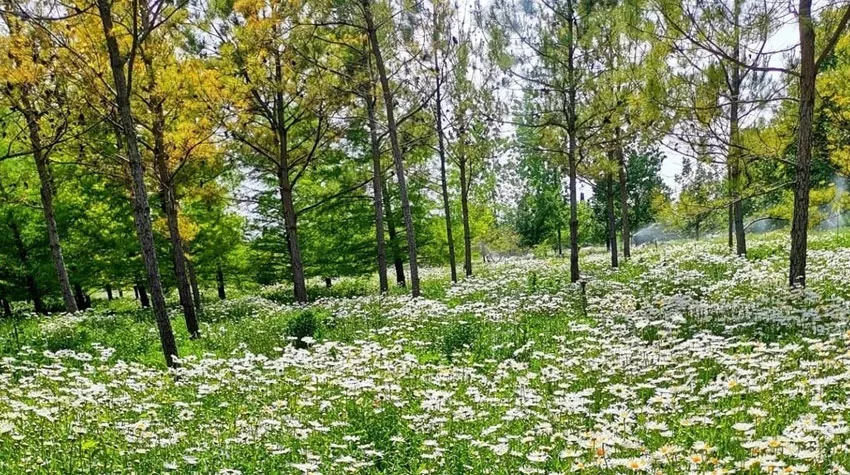 عکس قطعه آموزشی و نمایشی باغ گیاه شناسی تهران