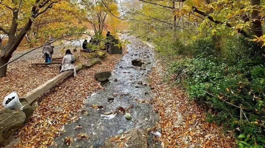 عکس باغ سیستماتیک باغ شناسی تهران