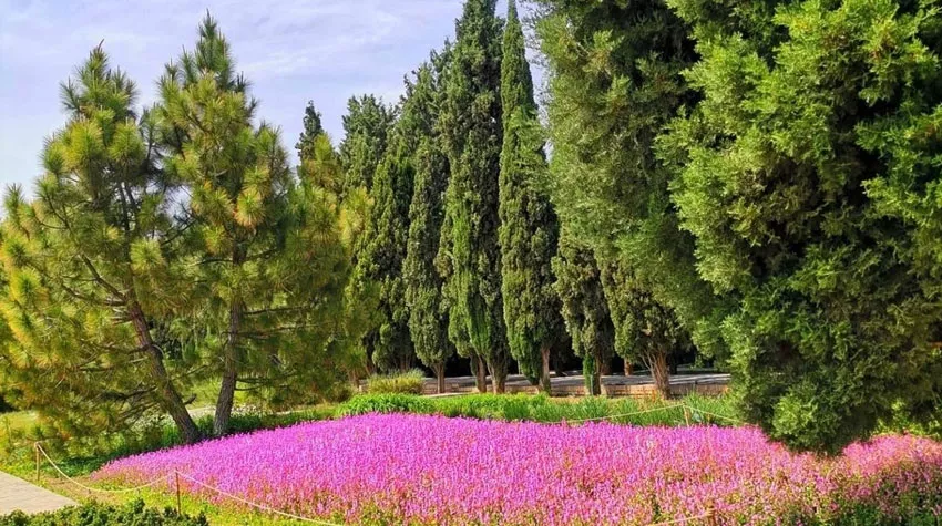 عکس جنگل و گردشگاه شاکای باغ گیاه شناسی تهران