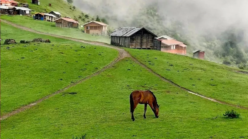 عکس روستای ماسال