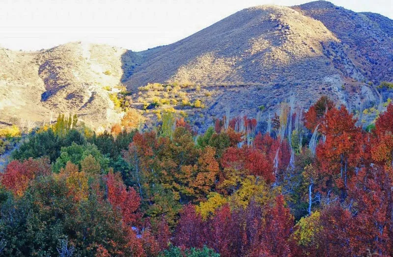 سفر به شیراز شیراز در پاییز
