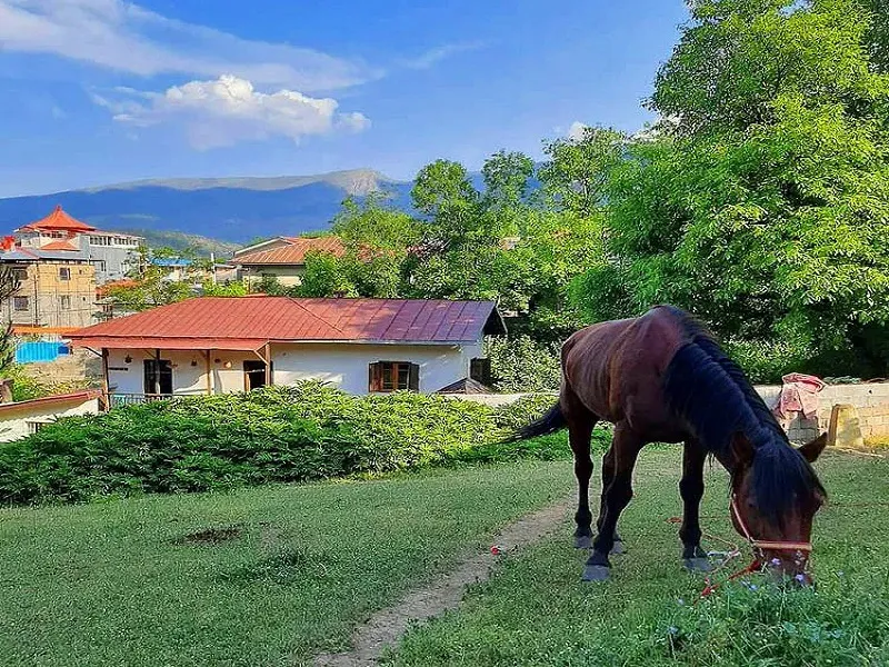  روستای جواهرده رامسر