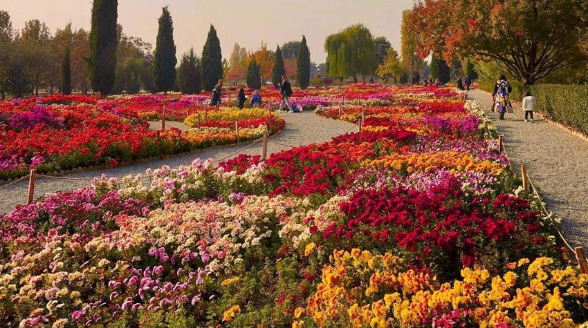 مسیر باغ گیاه شناسی تهران