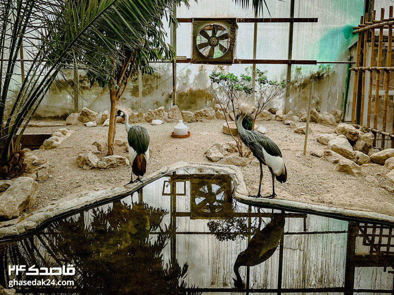 عکس باغ پرندگان تهران لویزان