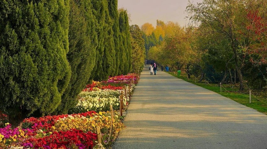 رویشگاه هیمالیا باغ گیاه شناسی تهران