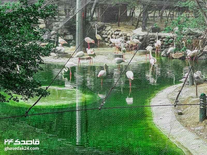 باغ پرندگان تهران شهرک امید
