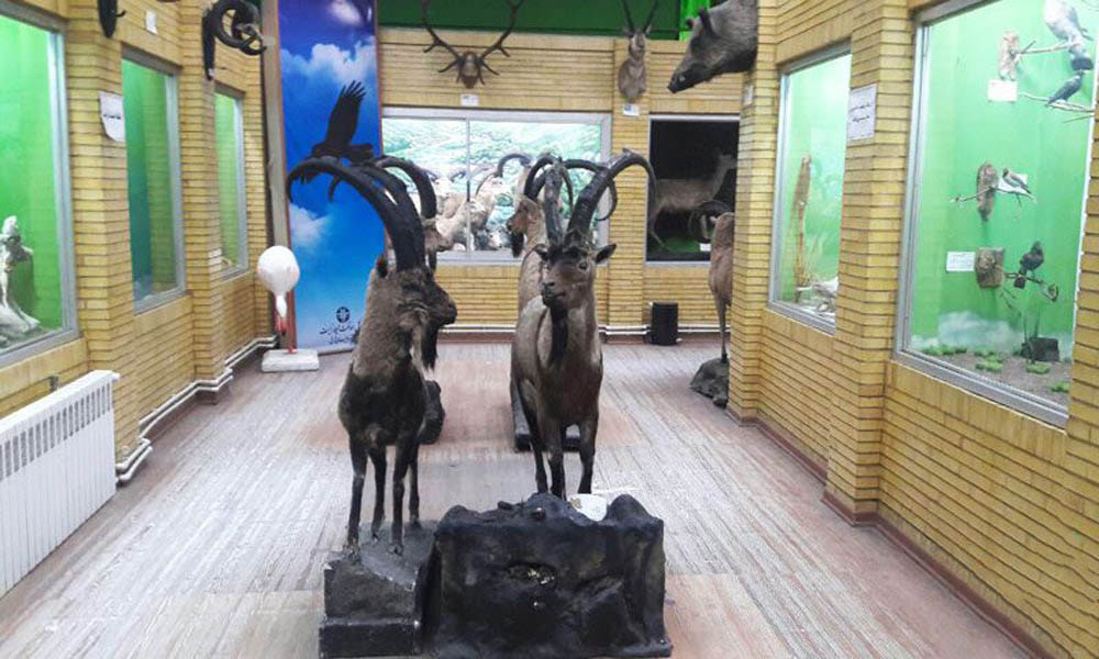 Tabriz Natural History Museum