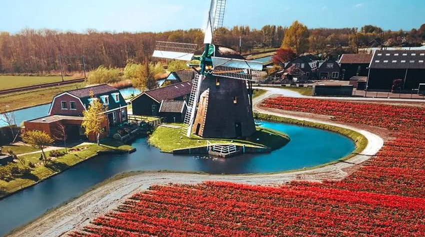 سفر به هلند در بهار