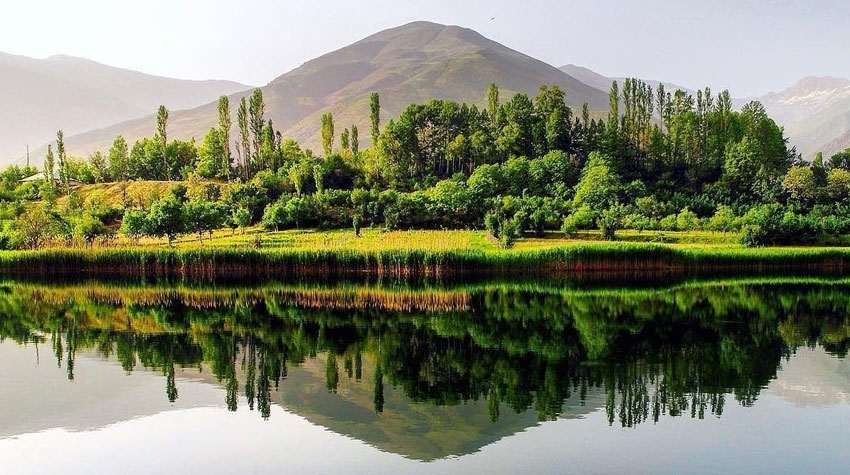 گونه های گیاهی و جانوری دریاچه الموت قزوین