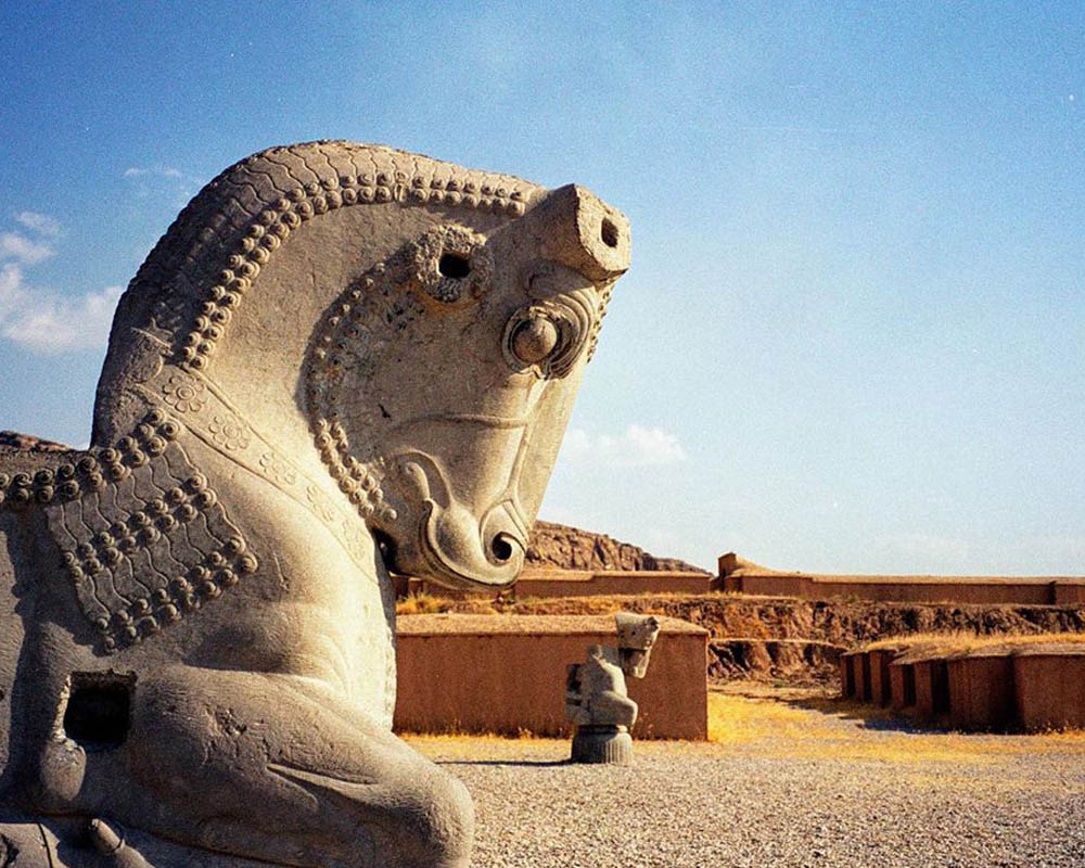 خری اینترنتی بلیط هواپیما شیراز- تخت جمشید
