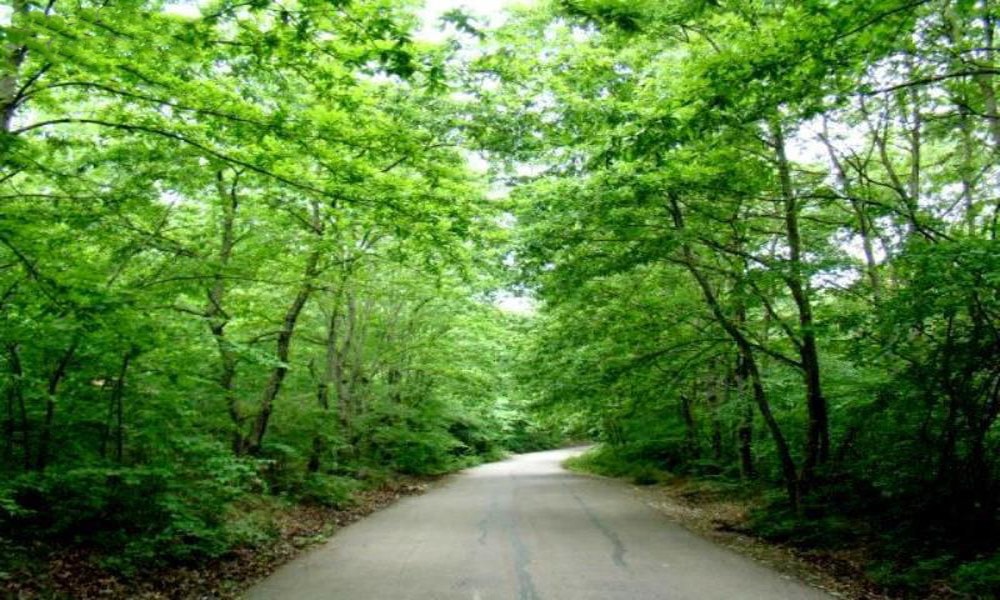سراوان رشت