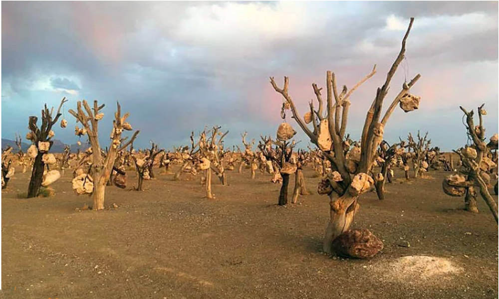 بلیط هواپیما سیرجان