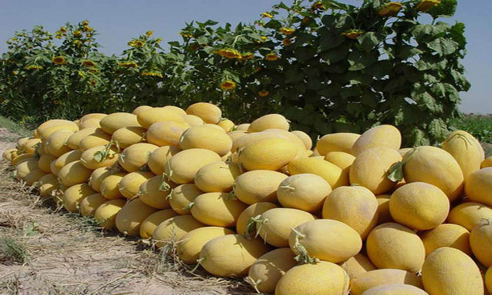 بلیط قطار گرمسار
