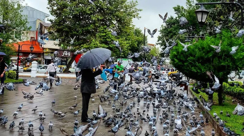 بهترین فصل سفر به رشت