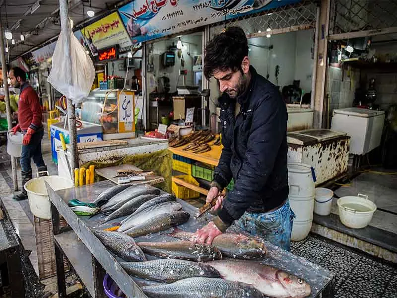 ماهی و میگو چابهار