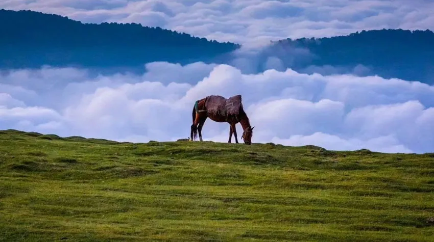 روستا فیلبند مازندران