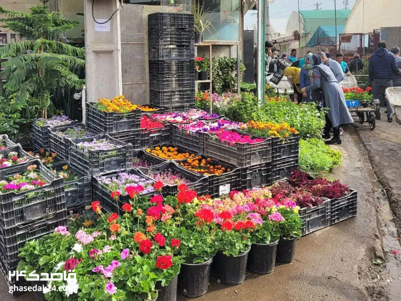 بازار گل محلاتی تهران