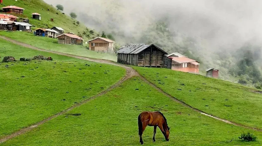 ماسال گیلان