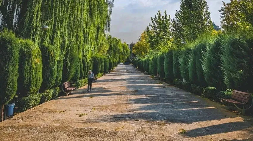 بوستان ساعی تهران