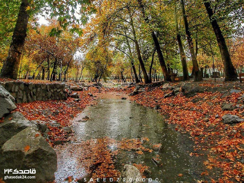 پارک جنگلی وکیل اباد مشهد