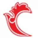 هواپیمایی آتا