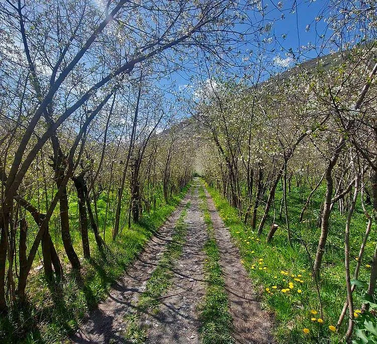 روستا زشک شاندیز مشهد